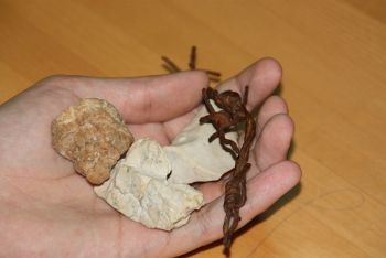 НЕ ПОНОВИЛО СЕ: Бодљикава жица и камен из логора на отоку Пагу