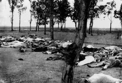 Жртве геноцида над Јерменима, јерменска област Анадолије 1915.