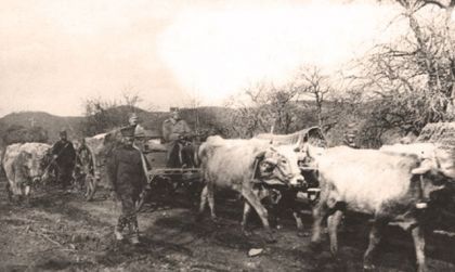 Једна од фотографија Ристе Марјановића; Болесни и остарјели краљ Петар одступа заједно са војском