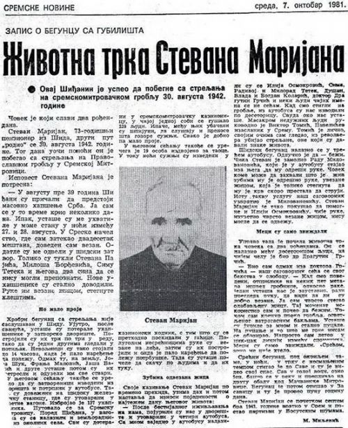 Животна трка Стевана Маријана, Сремске новине, 7. октобра 1981.