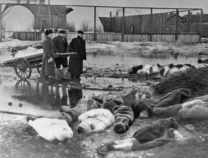 Сахрана страдалих становника Лењинграда током опсаде града