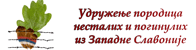 УДРУЖЕЊE ПОРОДИЦА НЕСТАЛИХ И ПОГИНУЛИХ ИЗ ЗАПАДНЕ СЛАВОНИЈЕ