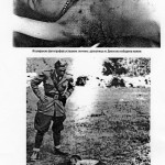 Фотографије су снимили италијански војници када су дошли у Крушковаче у Дивосело