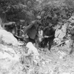 Црногорска голгота: Како су комунисти разапињали свештенике и бацали у јаме!