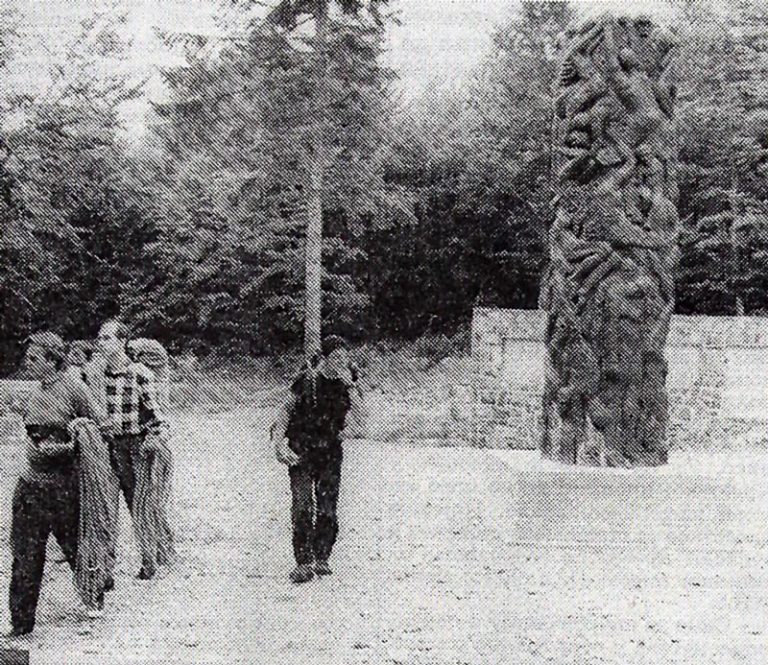 politika_feljton_str11-768x665.jpg