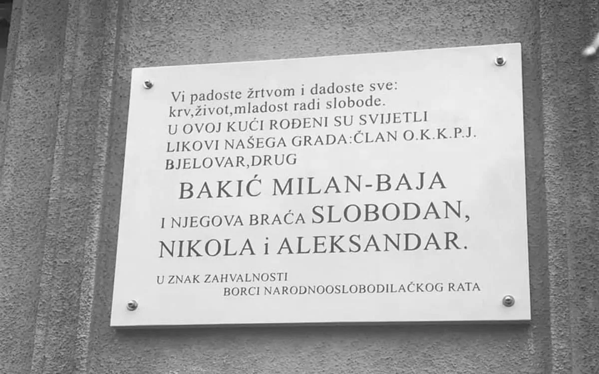 Slika