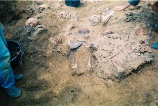 Откопавање костију на губилишту Пролог