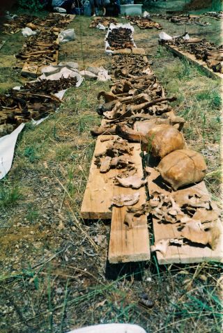 Povađene
kosti sa gubilišta Prolog kod Livna
