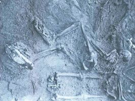 Jedan od skeleta pobijenih Srba nađenih na strelištu Prolog 1991. godine