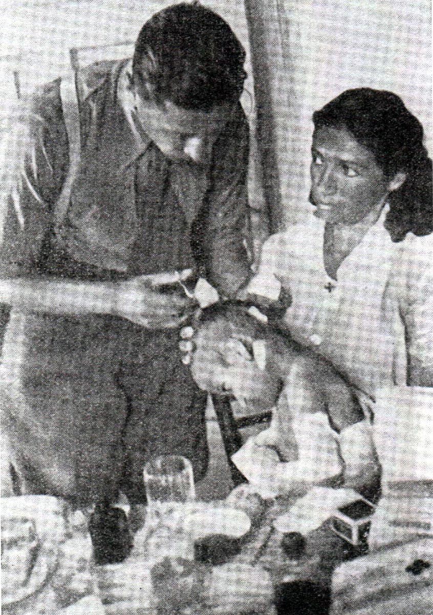 Srpsko dijete, ranjeno u glavu, leđa i ruke, fotografisano 8. avgusta 1941. u italijanskoj bolnici u Obrovcu, nakon što su ga Italijani spasili od ustaša. Trattamento degli Italiani da parte Jugoslava dopo l`8. settembre 1943 (Editore Palladino), str. 148. 