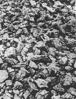 Kameni pod nekadašnjih logorskih baraka u Slani. Na tom oštrom kamenju boravili su i spavali logoraši.