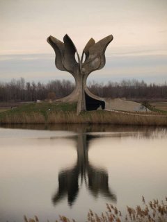 cvijet_jasenovac1.jpg
