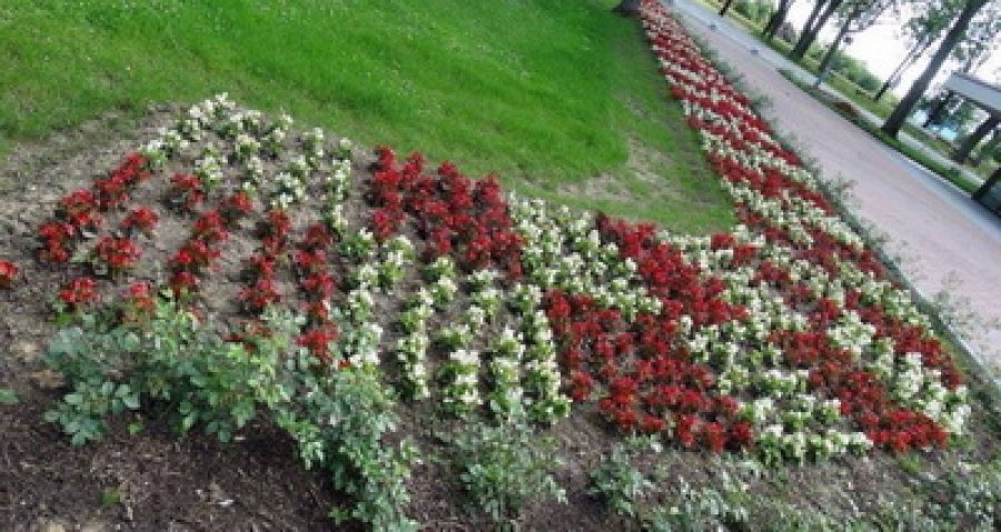 jasenovac-u-cvijece.jpg