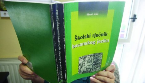 Školski rječnik bosanskog jezika