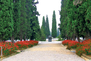 Deo srpskog vojničkog groblja (Foto S. Gucijan)