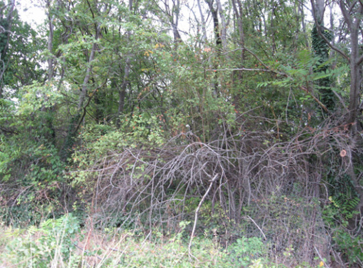 Slika 6. Pogled na groblje iz druge pozicije, vidi se ograda od žice – Lokacija Skočivir