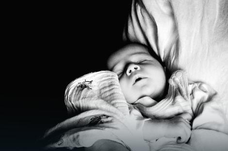Beba je bila sita i ušuškana na putu ka Štrandu Foto: Profimedia / RAS Srbija 
