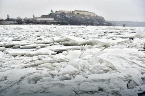Dunav je te zime bio zaleđen Foto: Nenad Mihajlović / RAS Srbija 