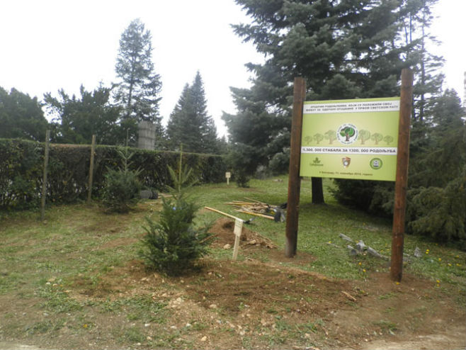 Projekat "Jedno drvo za jednog ratnika" (Foto: Zavod za zaštitu prirode Srbije)