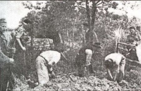Seljaci kopaju svoje grobove pre ubijanja.