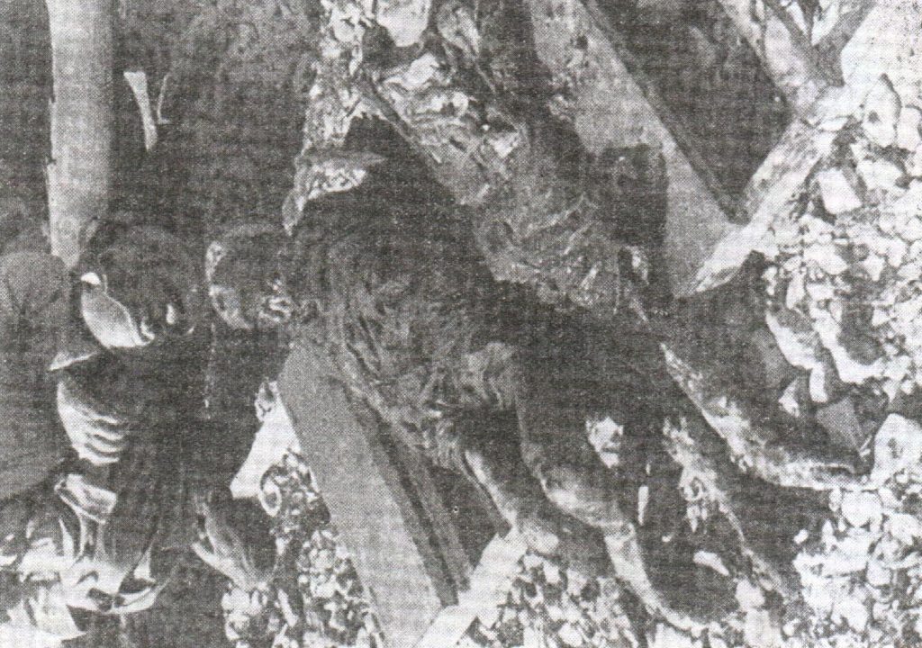 Ексхумирани лешеви у логору Слана на Пагу приjе спаљивања. Талиjанска фотографиjа из септембра 1941.